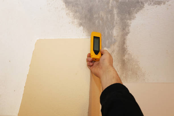 Millbrook, AL Mold Removal Company