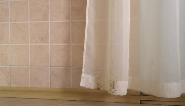Best Mold Removal for HVAC Installations  in Millbrook, AL