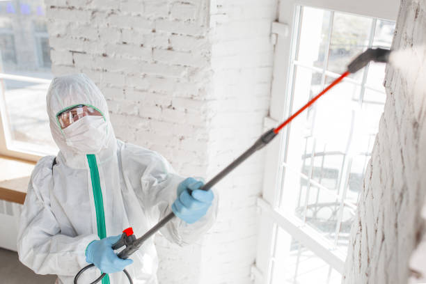 Best Dehumidification Services  in Millbrook, AL