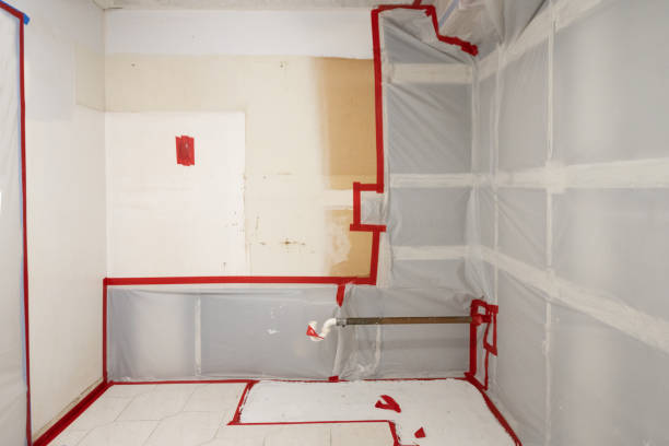 Best Mold Documentation for Insurance Claims  in Millbrook, AL