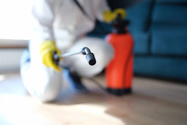 Best Crawl Space Mold Remediation  in Millbrook, AL