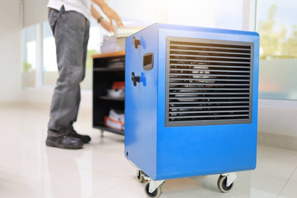Best Mold Odor Removal Services  in Millbrook, AL