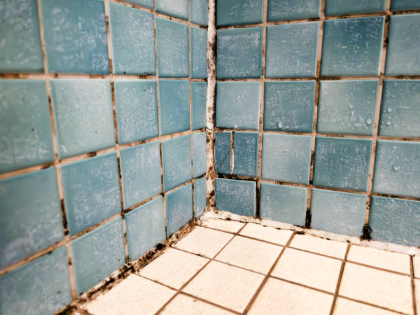 Best Biohazard Mold Removal  in Millbrook, AL