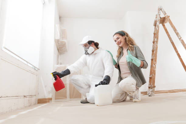 Best Attic Mold Removal  in Millbrook, AL
