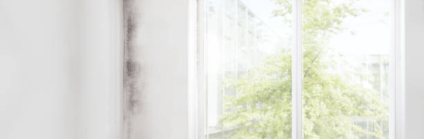 Best Residential Mold Inspection & Testing  in Millbrook, AL